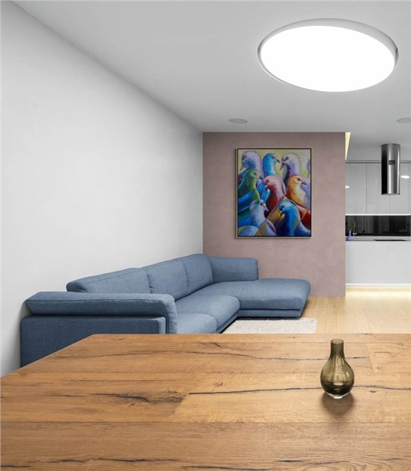 Güvercinlerin Sessiz Şarkısı Yağlı Boya Tablosu