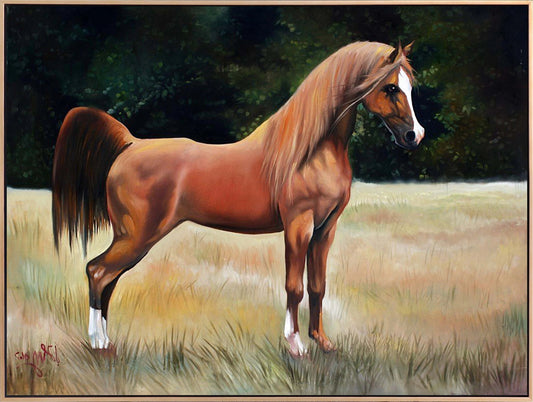 Kahverengi At Yağlı Boya Tablosu