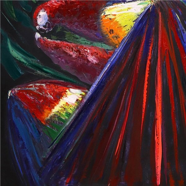 Renkli Papağan Yağlı Boya Tablosu