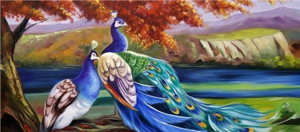 Tavus Kuşlarının Zarafeti Yağlı Boya Tablosu Simurg Sanatevi